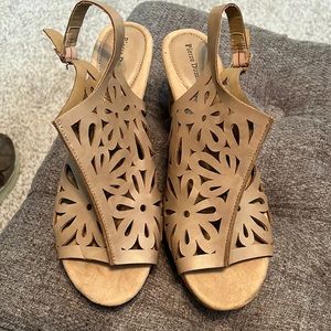 Pierre Dumas wedges